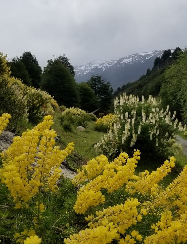 Espacio Marmol-Puerto Rio Tranquilo必去景点