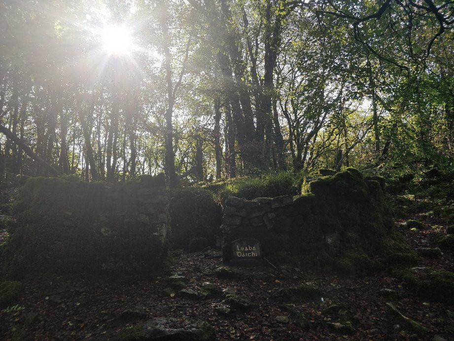 Knockma Forest Walk景点图片