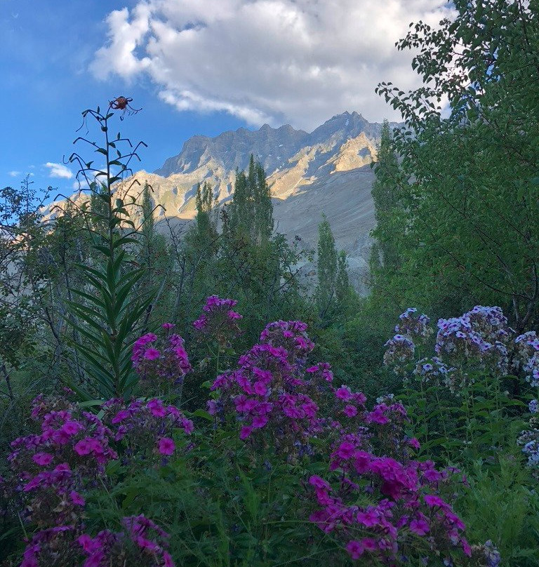 Serena Khaplu Palace主图