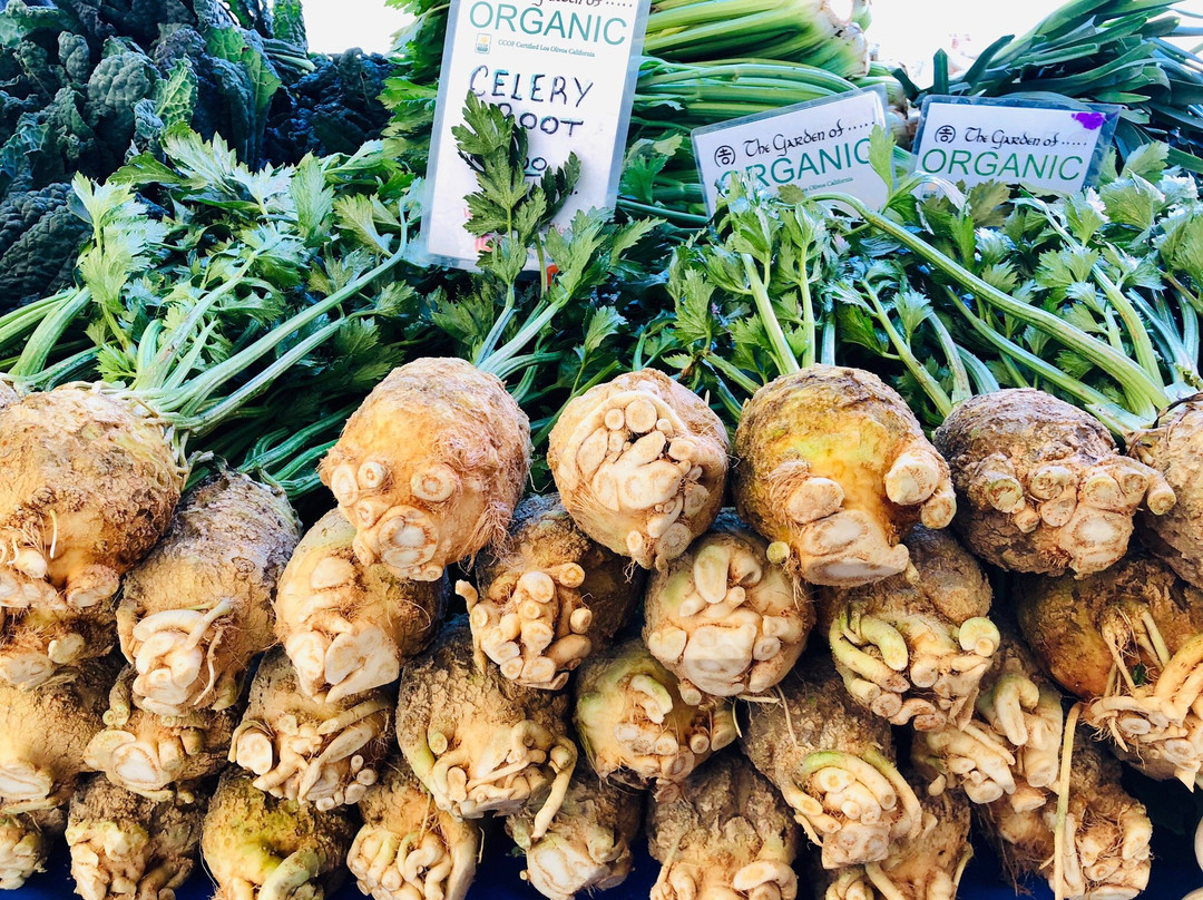 Santa Barbara Certified Farmers Market-圣巴巴拉必去景点