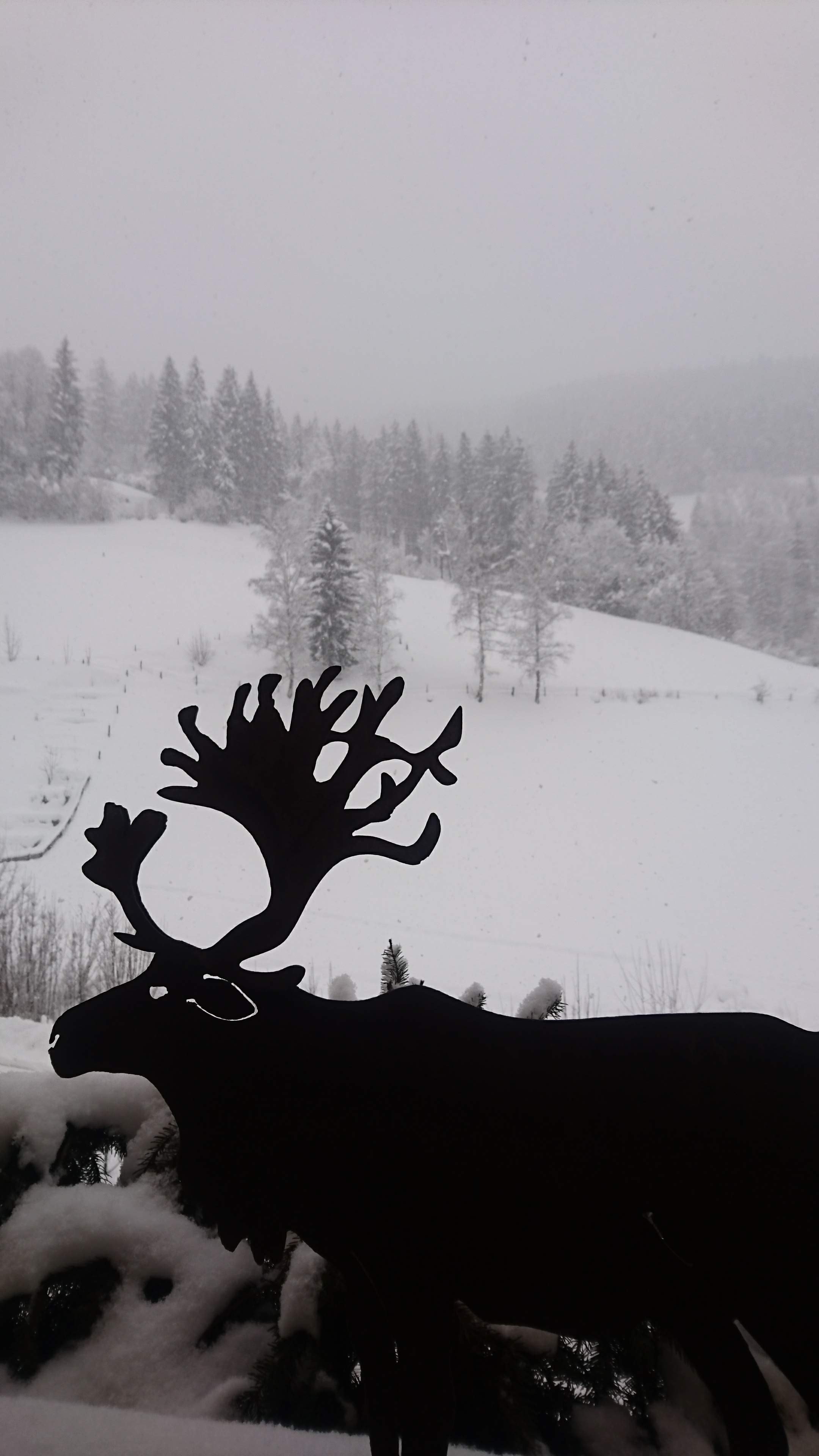 Boutique Hotel Martha-酒店景观