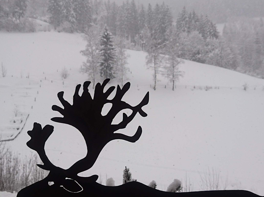 Boutique Hotel Martha主图