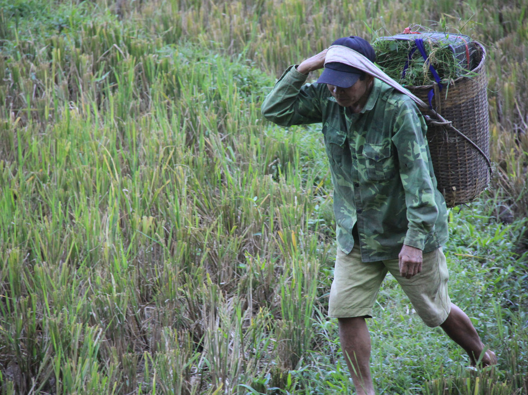 Mai Chau Tours景点图片