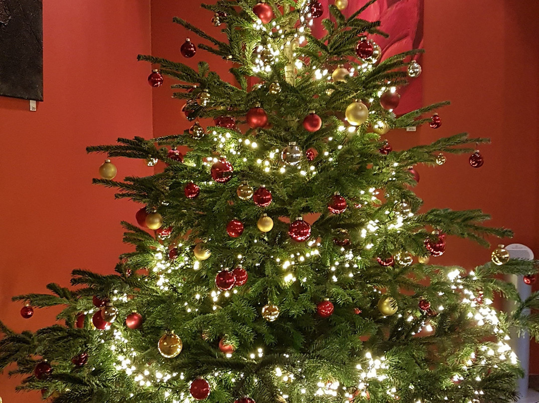 黑森林全景酒店主图