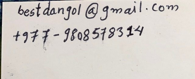 Eco Guest House主图