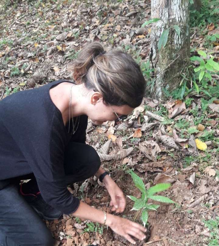 亚马逊新奇库伊山林小屋主图