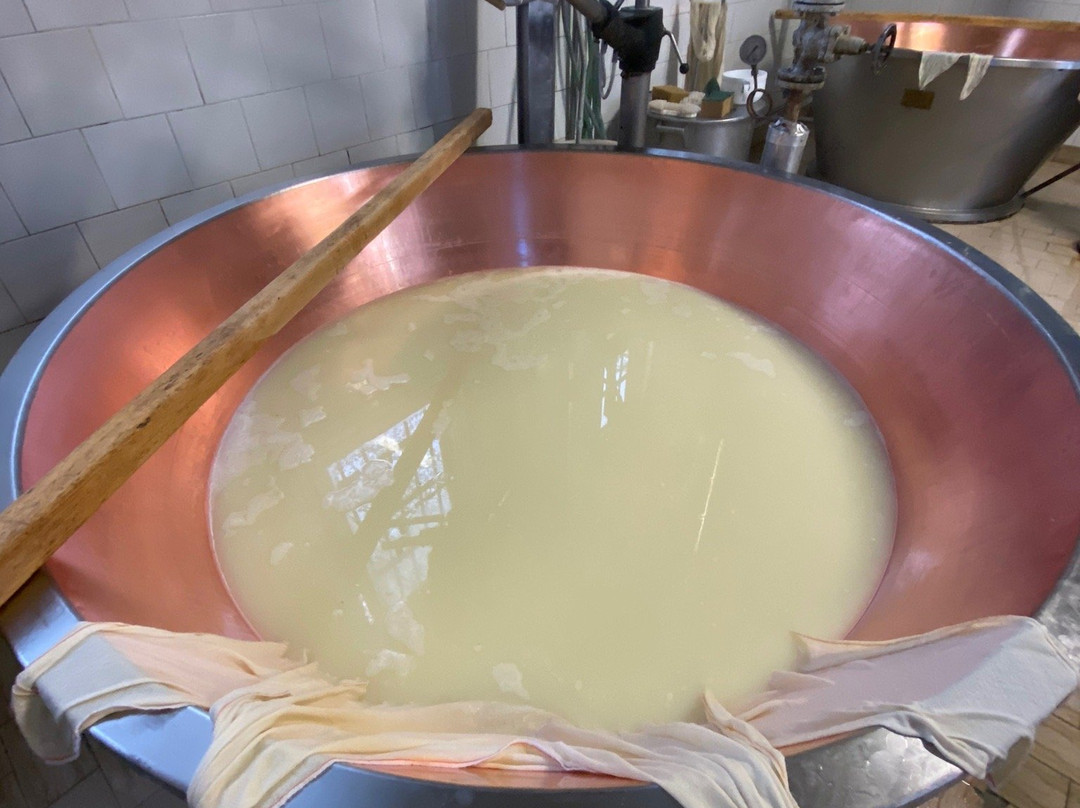 ParmaLook - Food Tour Experience-Ponte Taro必去景点