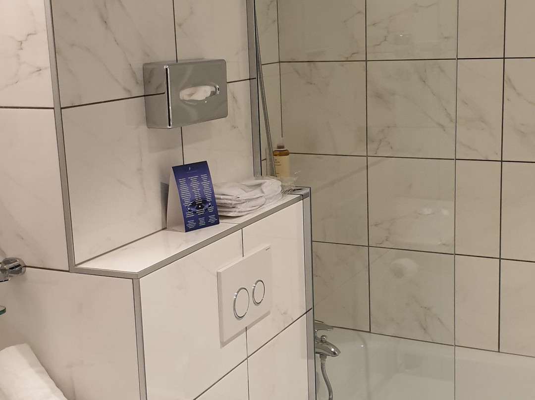 Hotel du Dragon主图