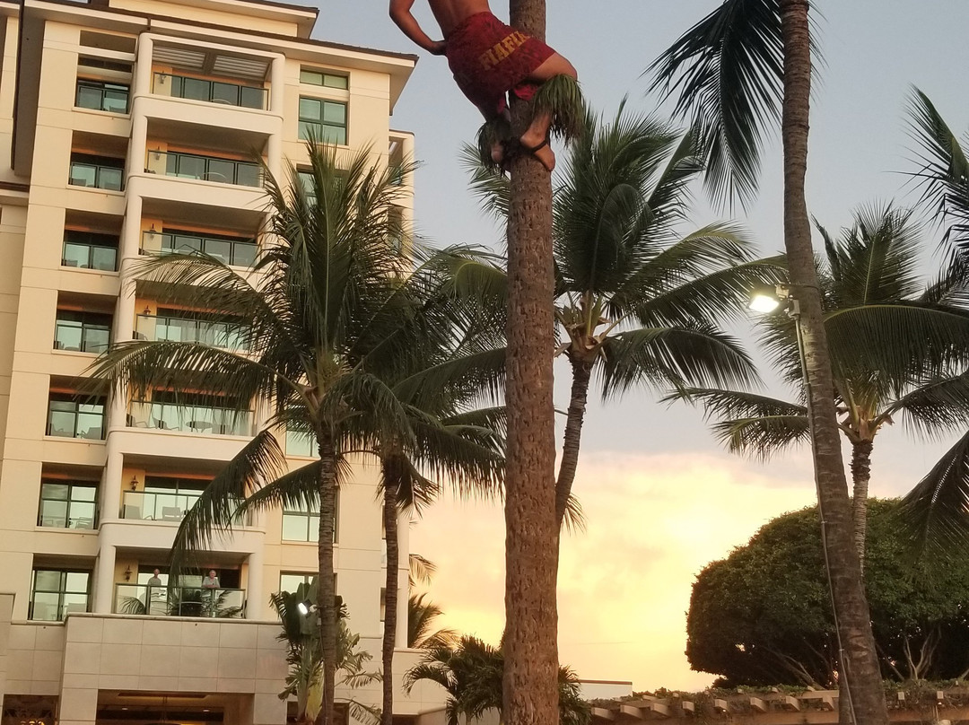 科奥利纳海滩万豪俱乐部酒店主图