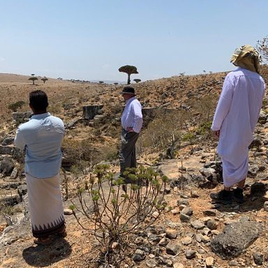 seiyun Easy travel to Yemen景点图片