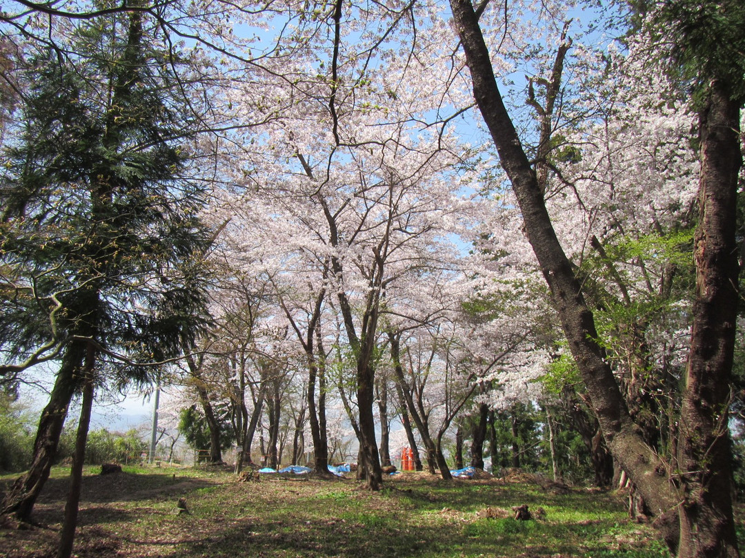 Atago Shrine景点图片