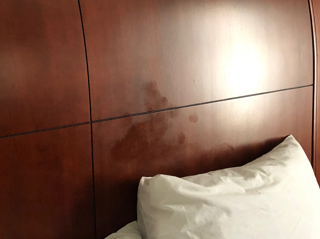 Hilton Garden Inn Macon / Mercer University主图