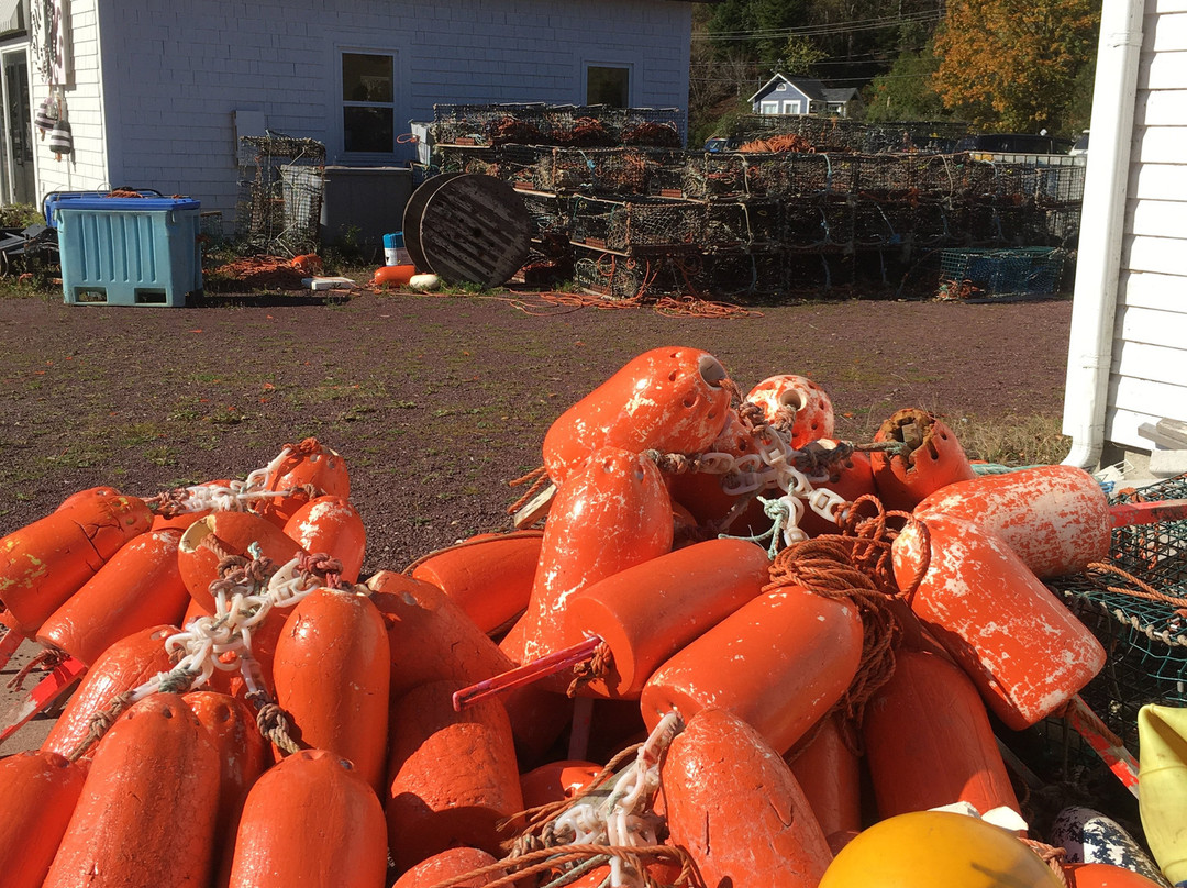 Harbour Park-St. Martins必去景点