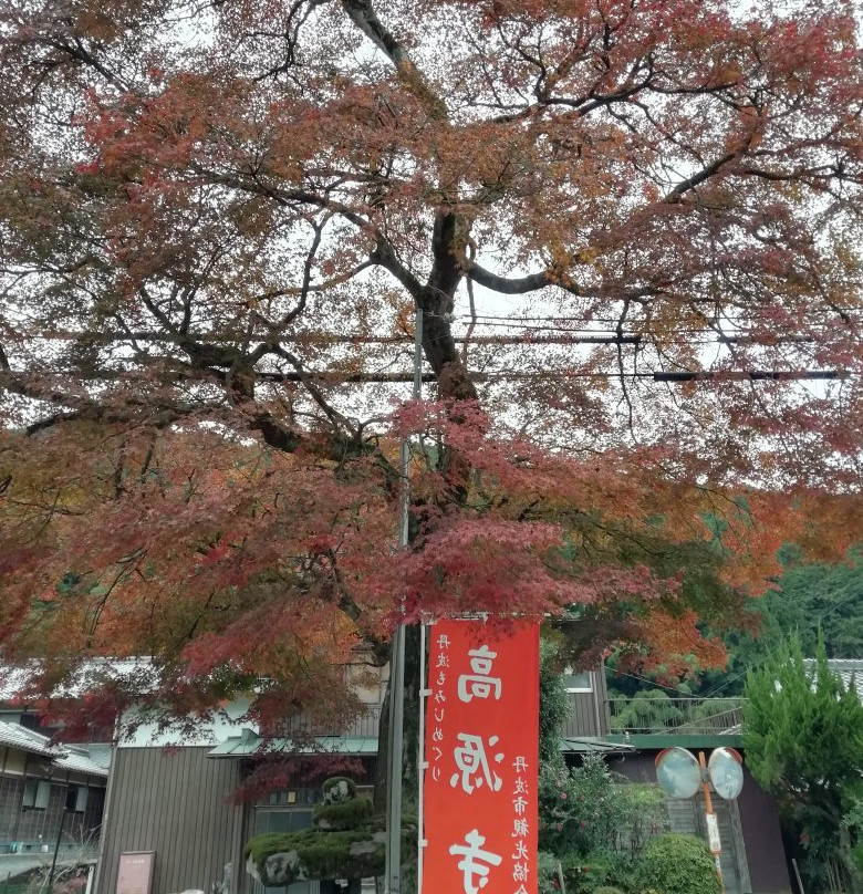 Kougenji Temple景点图片
