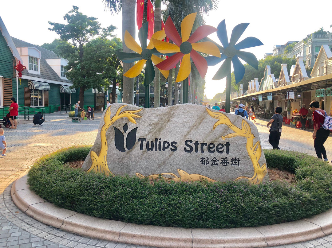 南山花卉世界-深圳市必去景点