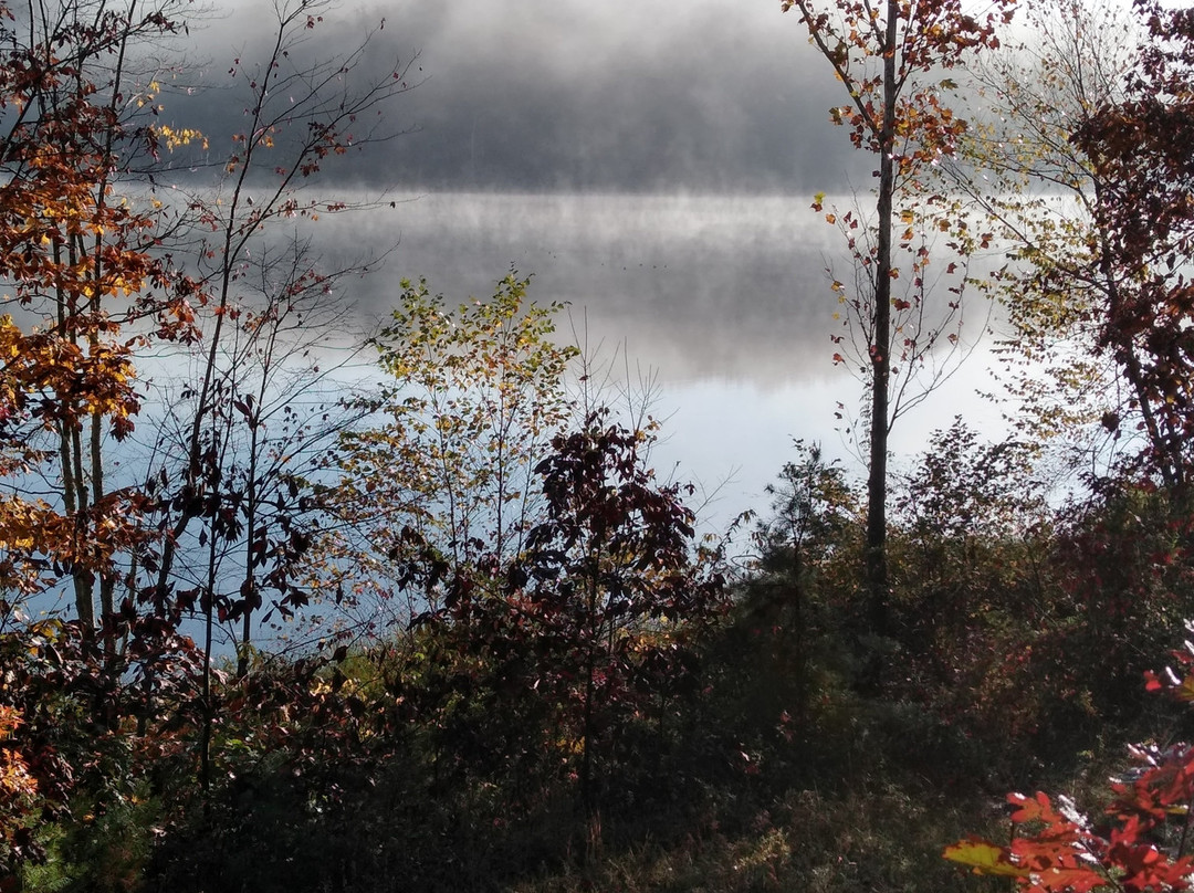 Deam Lake State Recreation Area-Borden必去景点