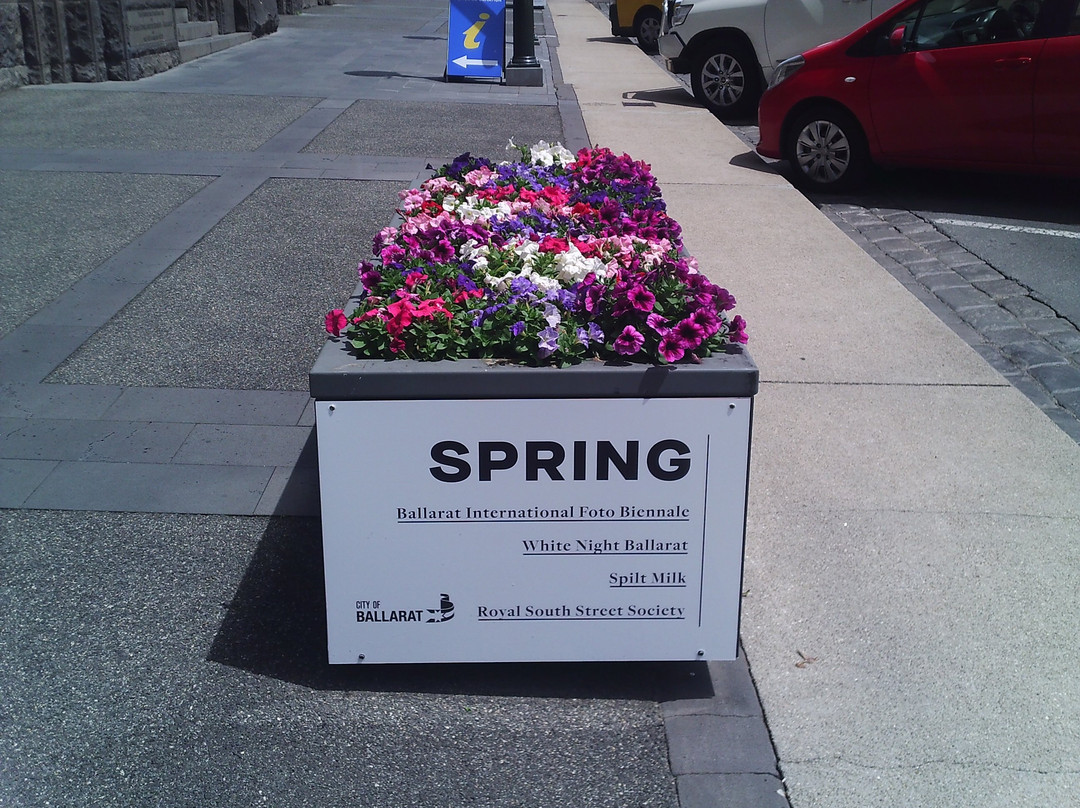 Lydiard Street-巴拉瑞特必去景点