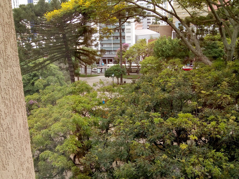 Mabu Curitiba Business主图