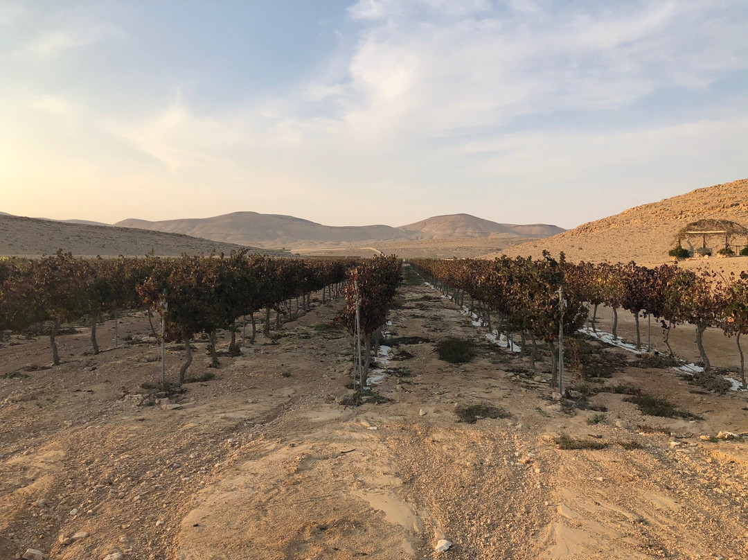 Nana Estate Winery-米茨佩拉蒙必去景点