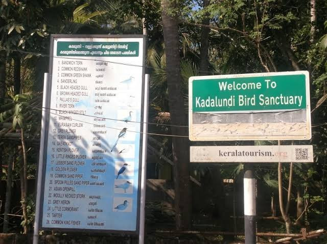 Kadalundi Bird Sanctuary-科泽科德必去景点