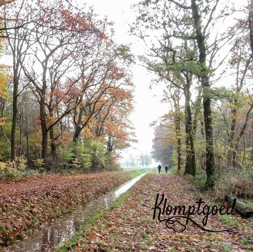 Neede旅游攻略图片