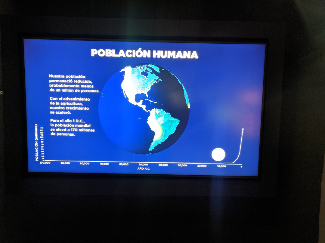 Museo De Historia Natural景点图片