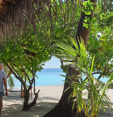 TGI - Maayafushi Diving Center-Maayafushi Island必去景点