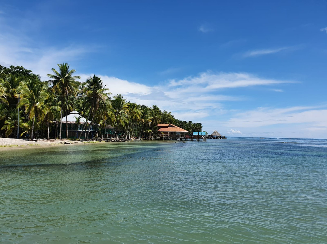 Al Natural Resort主图