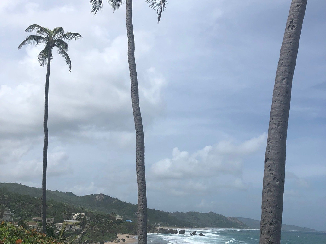 Williams Tours Barbados-布里奇顿必去景点