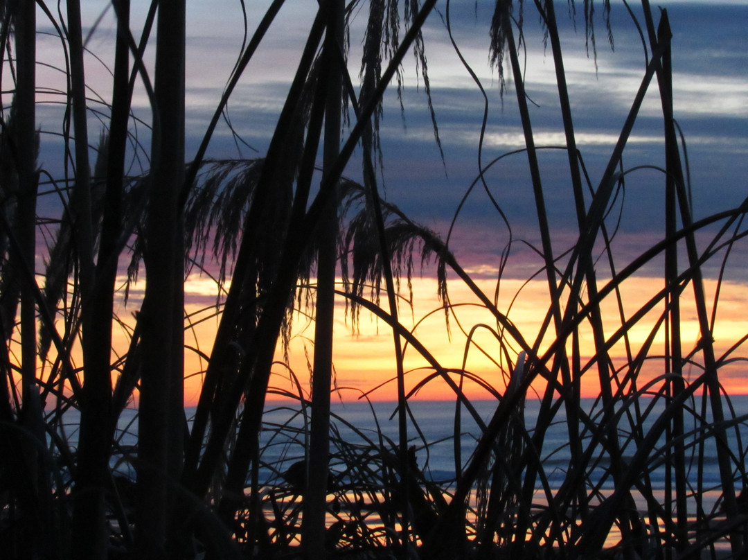 Chinook Winds Casino Resort主图