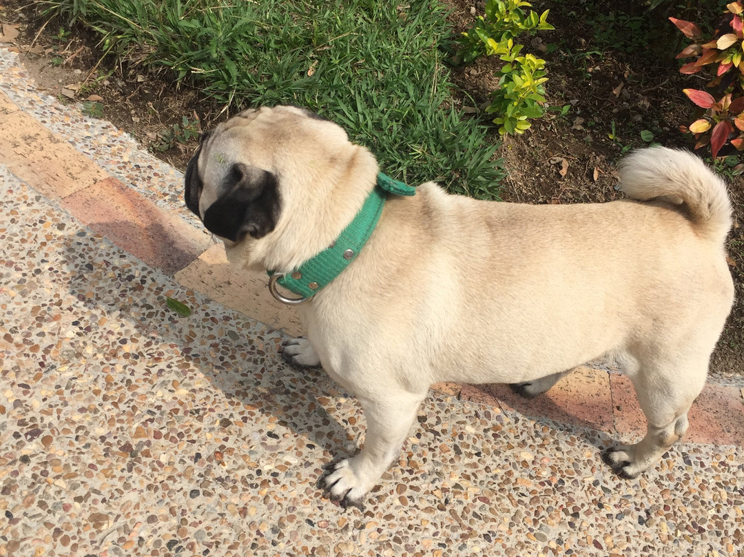 La Victoria Hotel Campestre主图