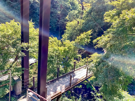 Hikawa Valley-奥多摩町必去景点