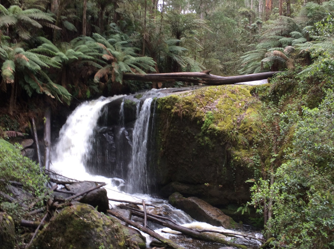 Toorongo Falls-Noojee必去景点