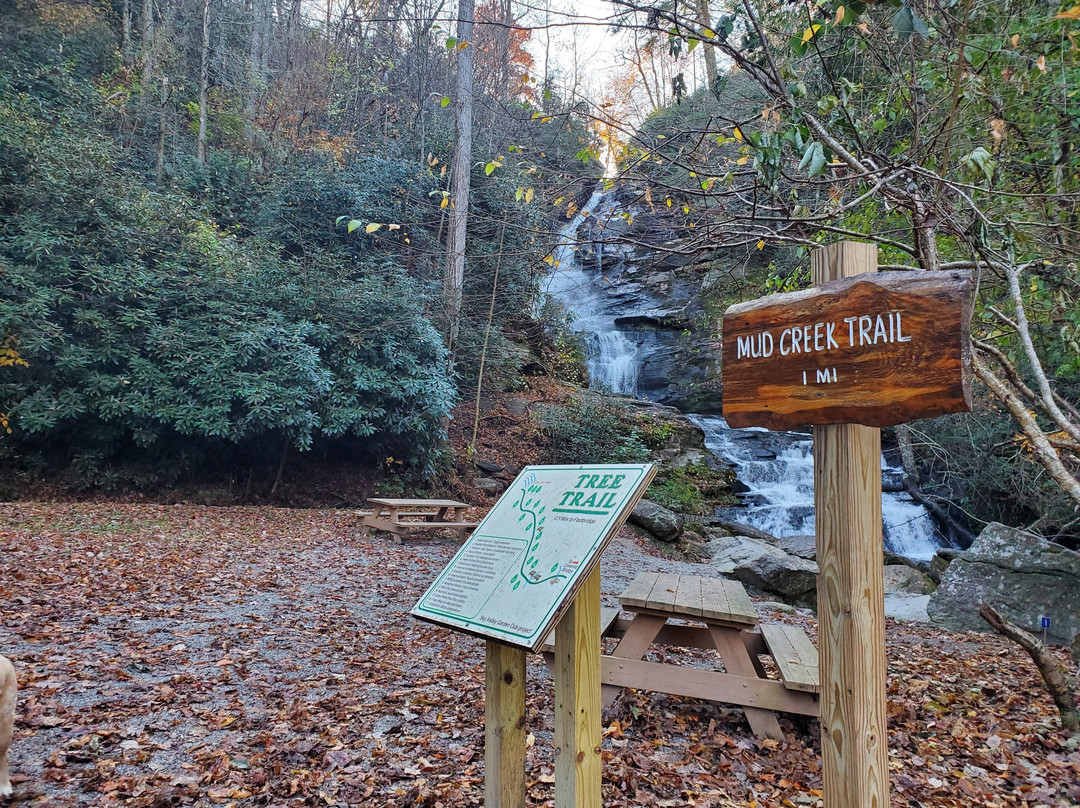 Mud Creek Falls景点图片