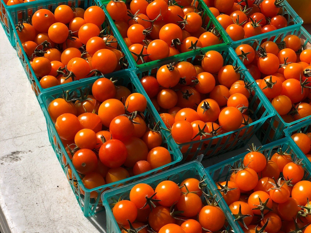 Arcata Plaza Farmers' Market景点图片