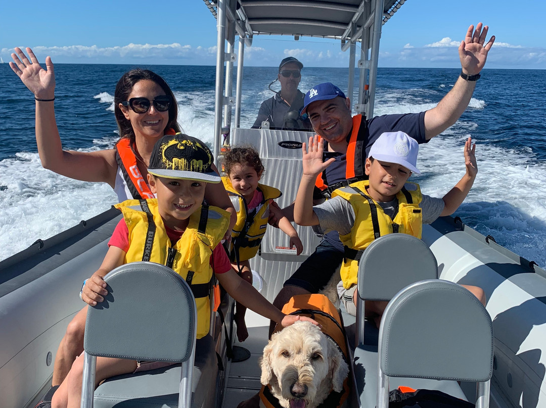 Terrigal Ocean Tours景点图片