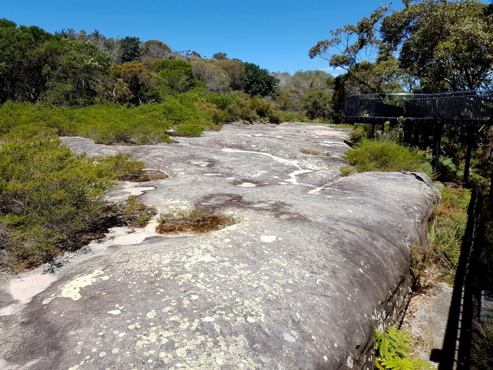 Dharawal Aboriginal Engravings Site-Royal National Park必去景点