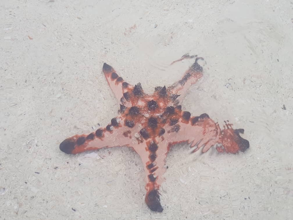 Belitung Tour-Tanjung Pandan必去景点