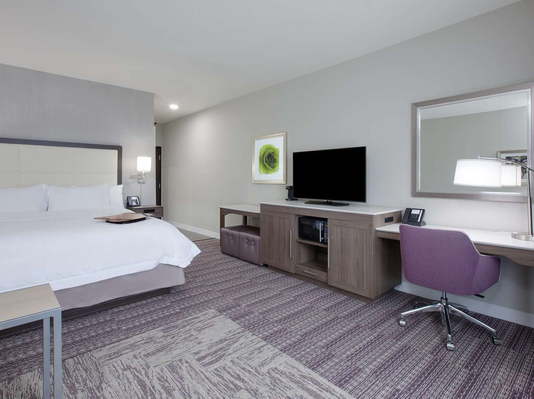 Hampton Inn & Suites Tyler-South主图