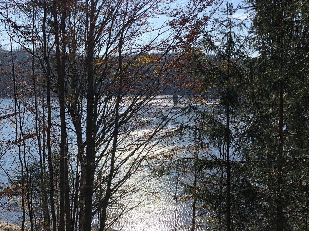 Trinkwassertalsperre-Frauenau必去景点