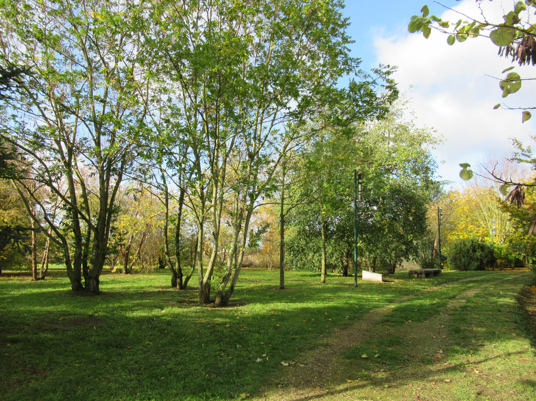 Parc Forestier du Bois de l'Étoile景点图片