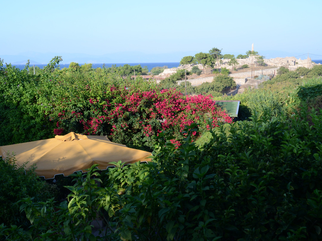 Rastoni Hotel Aegina主图