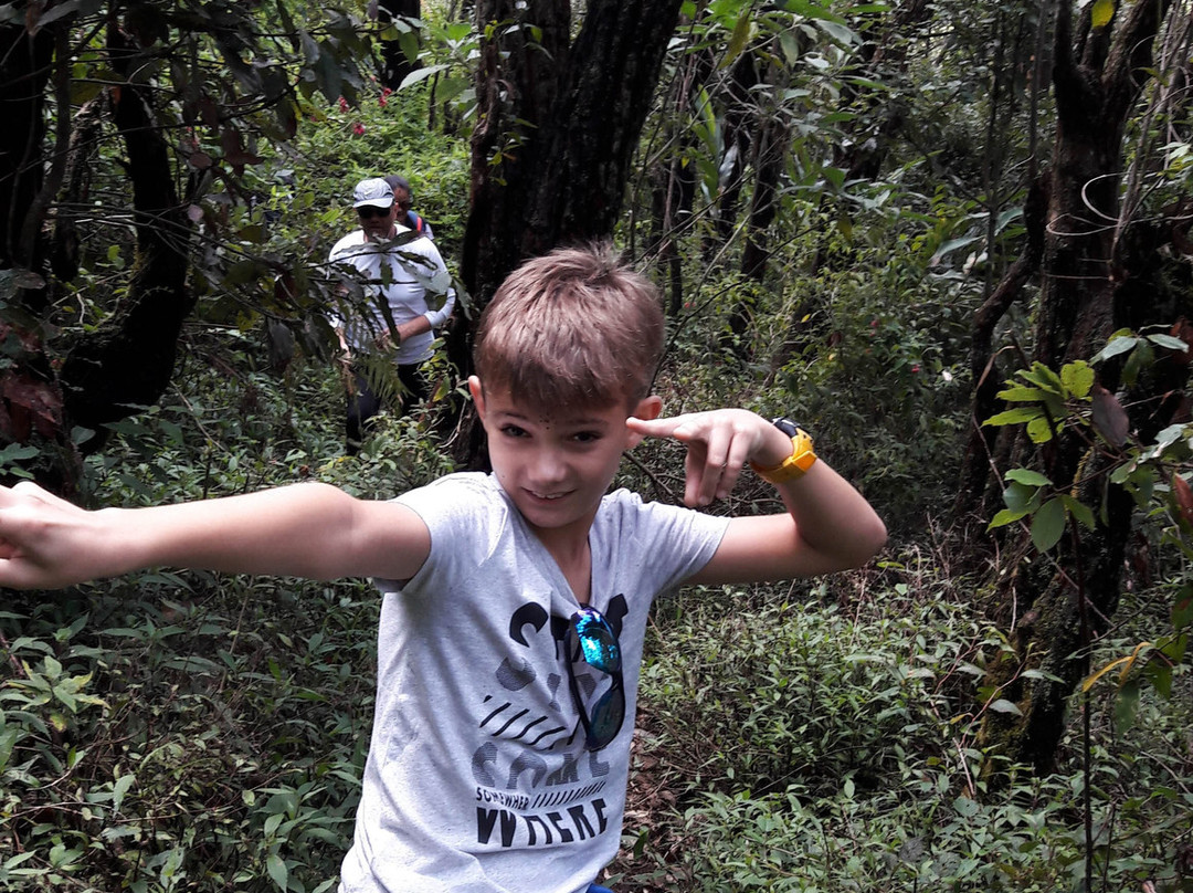 Nuwara Eliya Roots-奴娃拉伊利雅必去景点