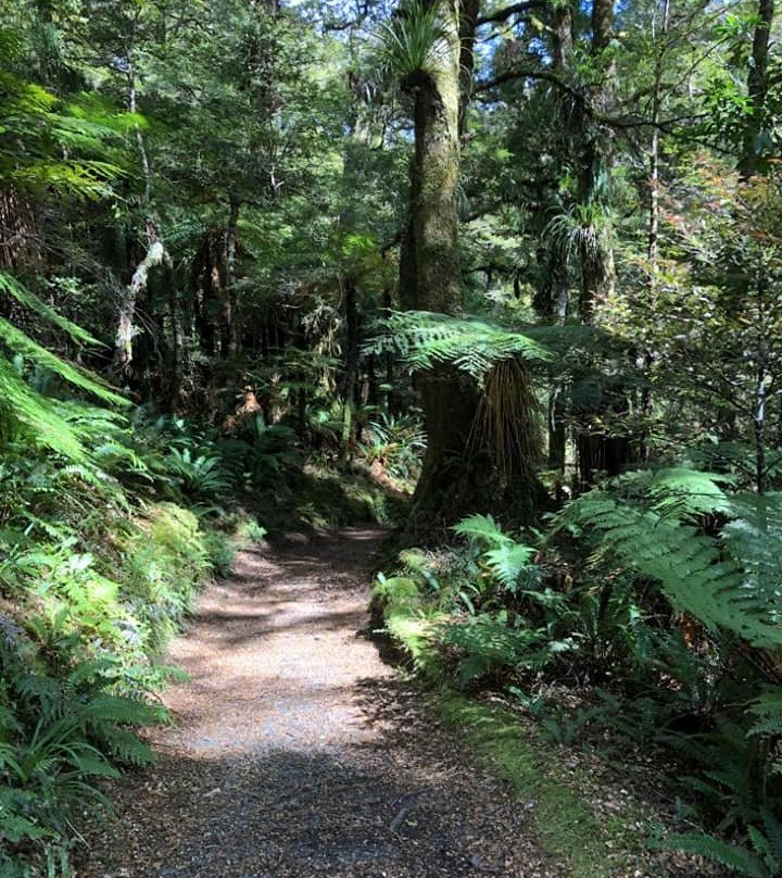 Te Urewera National Park景点图片