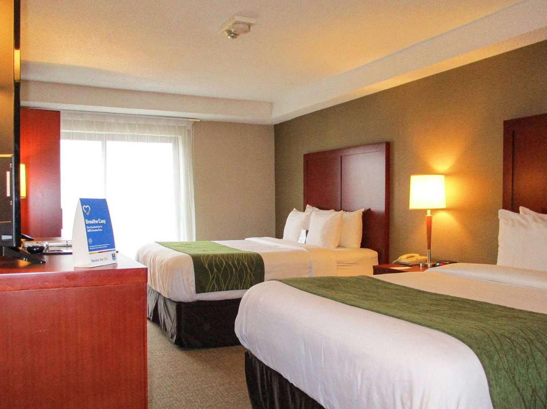 Comfort Inn - Dartmouth主图