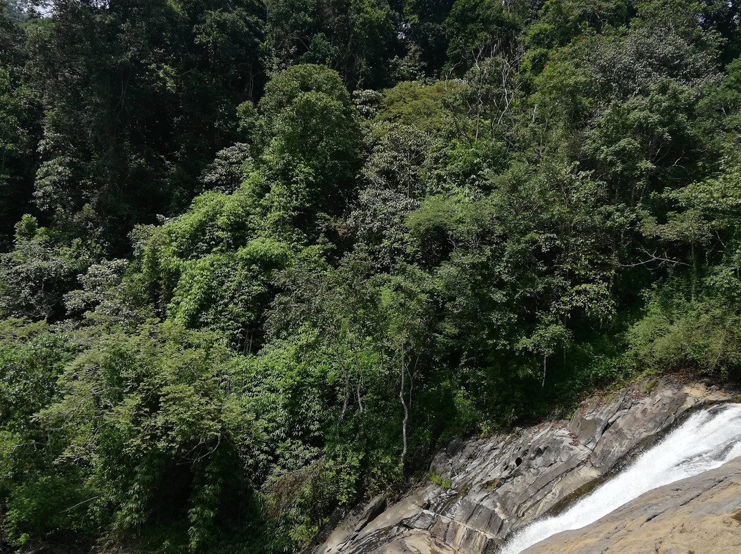 Kanthanpara Waterfall景点图片