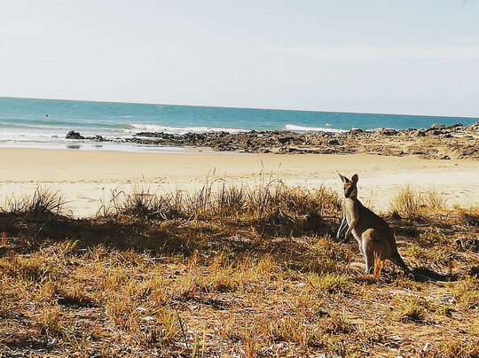 Gnarly Tours-Agnes Water必去景点
