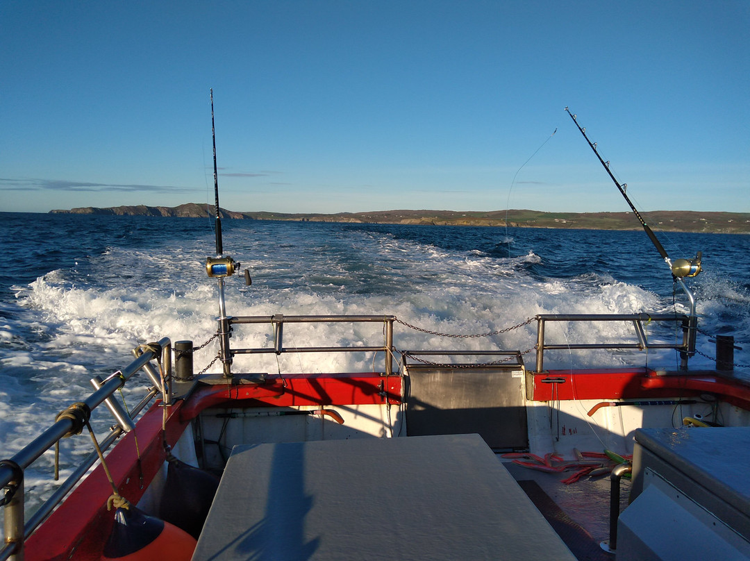 Sea Angling Charters-Union Hall必去景点