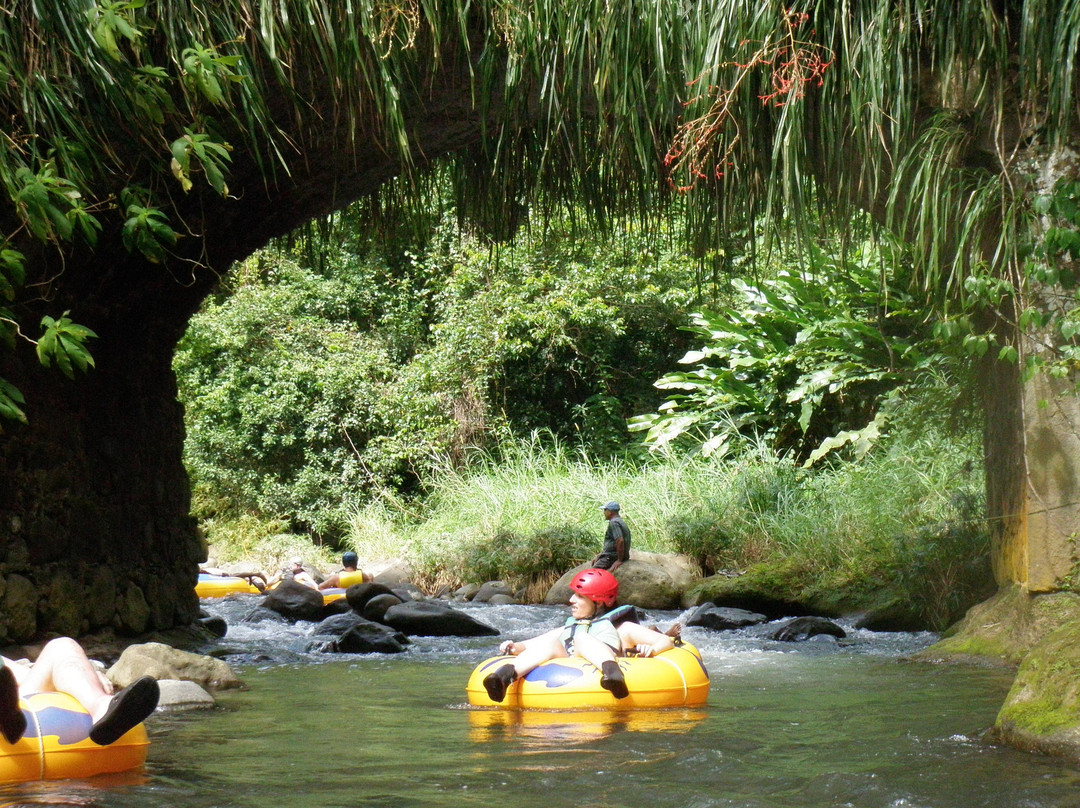 Adventure Tours Grenada - Caribbean-St. George's必去景点