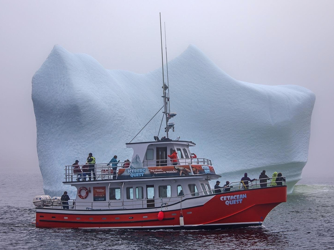 Iceberg Quest Ocean Tours-Twillingate必去景点